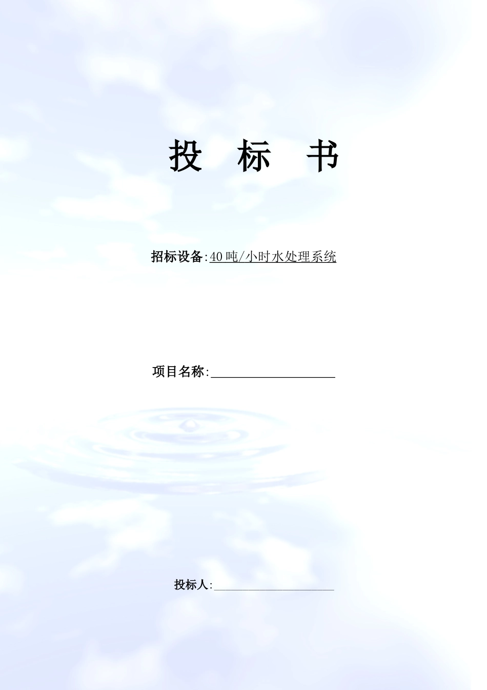 某啤酒厂水处理投标书_第1页