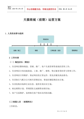 某商城前期运营方案