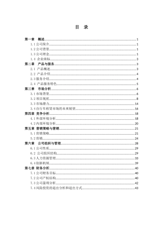 某单车租赁有限公司策划书