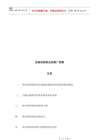 某商业街推广简案