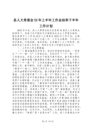 县人大常委会上半年工作总结和下半年工作计划