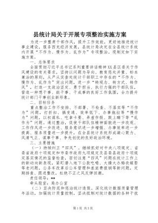县统计局关于开展专项整治方案