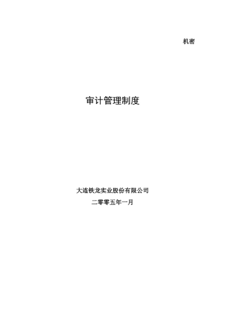 某咨询—某审计管理制度FINAL
