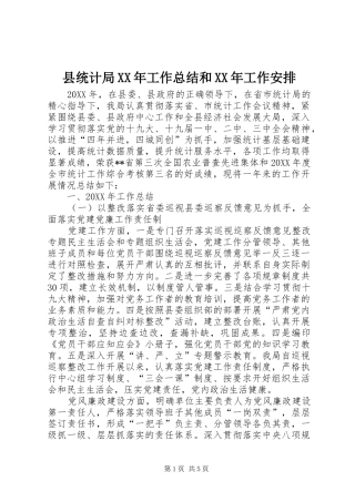 县统计局工作总结和工作安排