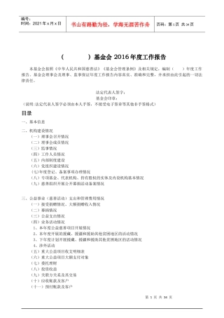 某基金会年度工作报告