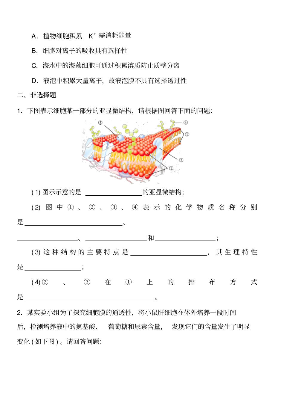 (完整)高中生物必修一第四章练习及答案_第3页