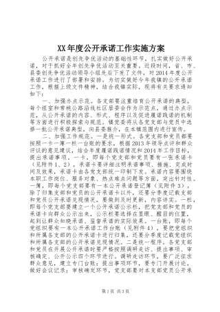XX年度公开承诺工作方案
