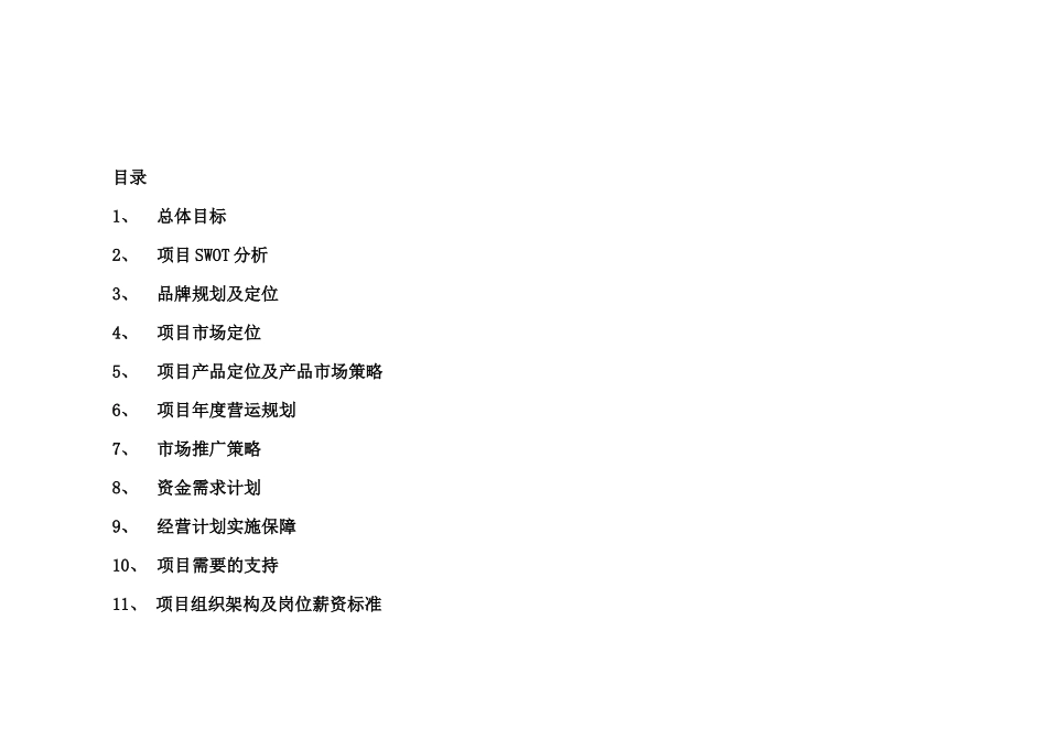 某品牌手袋项目商业计划书_第2页