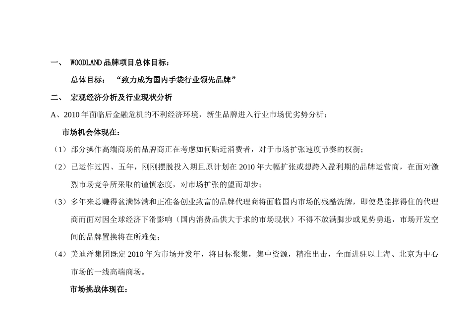 某品牌手袋项目商业计划书_第3页