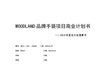 某品牌手袋项目商业计划书