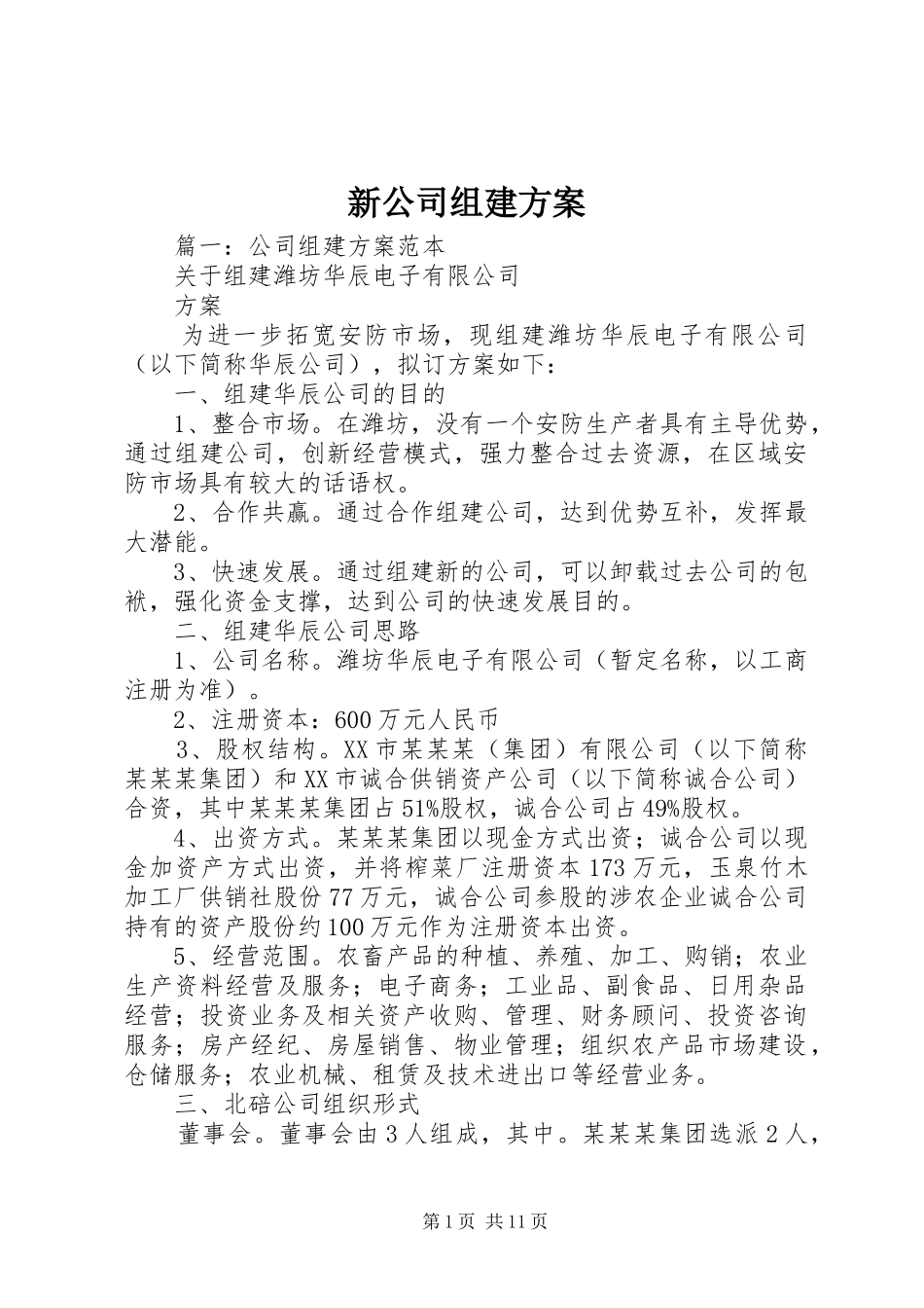 新公司组建实施方案_第1页