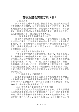 畜牧业建设方案（县）