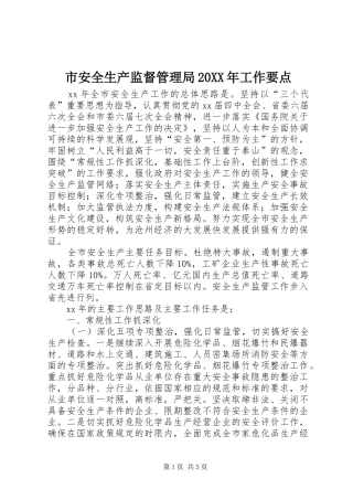 市安全生产监督管理局工作要点