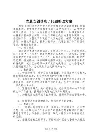 党总支领导班子问题整改实施方案