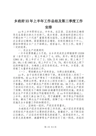 乡政府上半年工作总结及第三季度工作安排