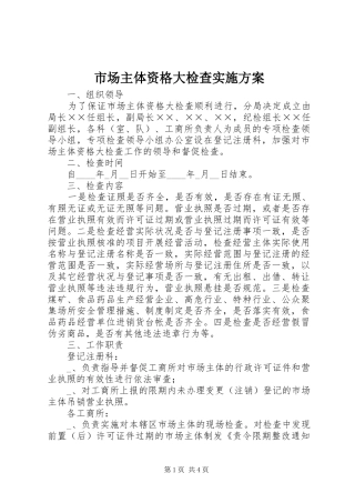 市场主体资格大检查方案