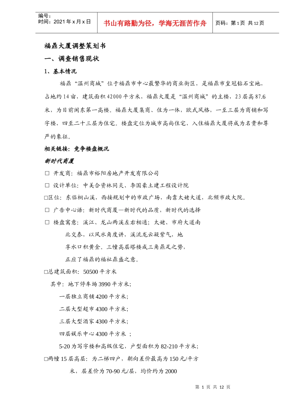 某大厦调整策划书_第1页