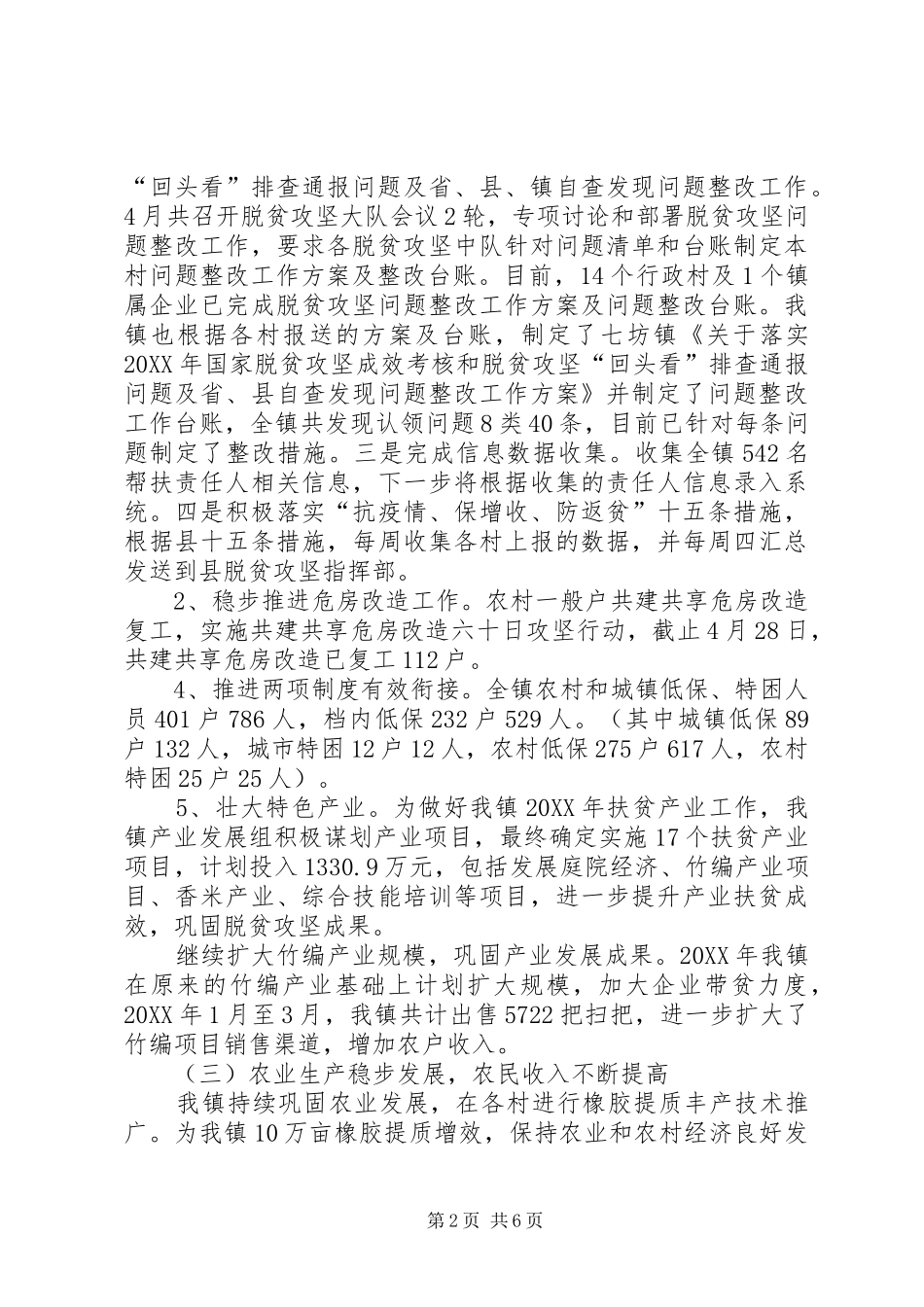 乡镇人民政府工作总结_第2页