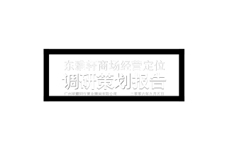 某商场经营定位调研策划报告