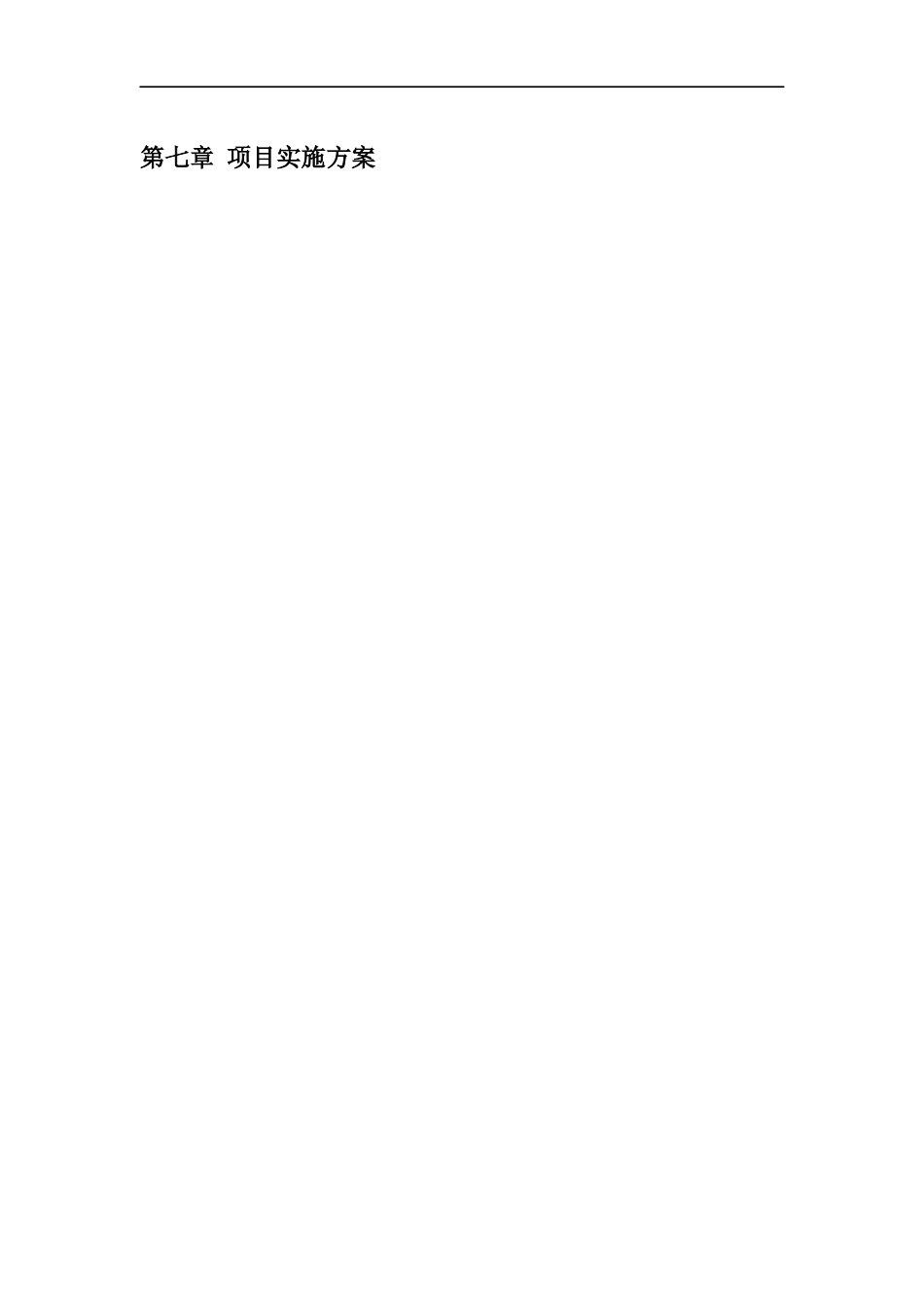 某商业集团管理系统工程建议书_第3页