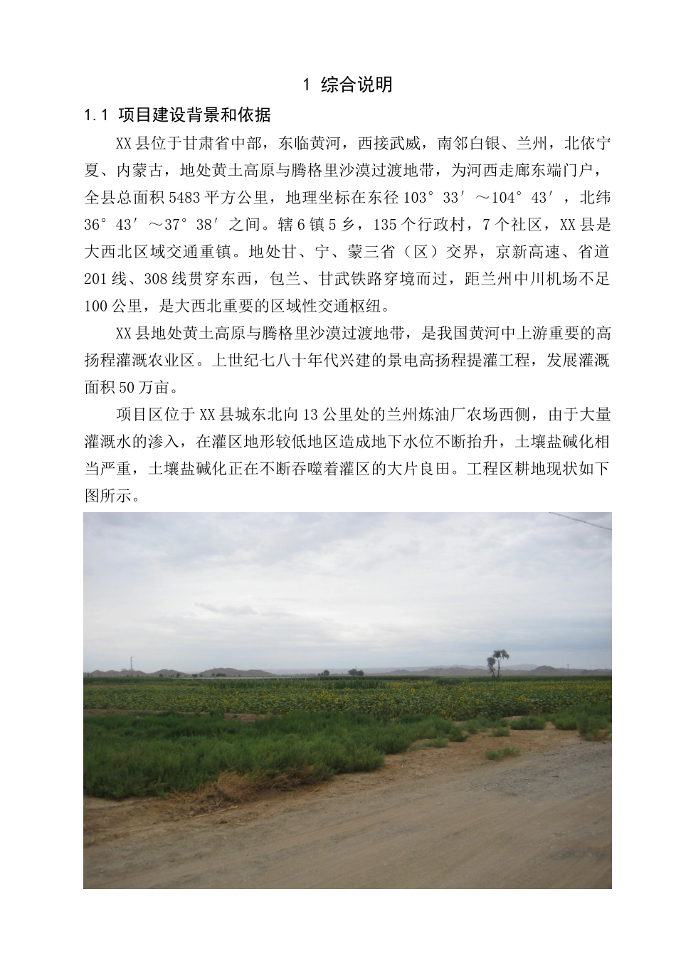 某地盐碱地综合治理可研报告_第1页