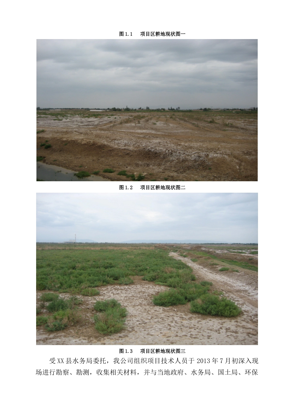 某地盐碱地综合治理可研报告_第2页