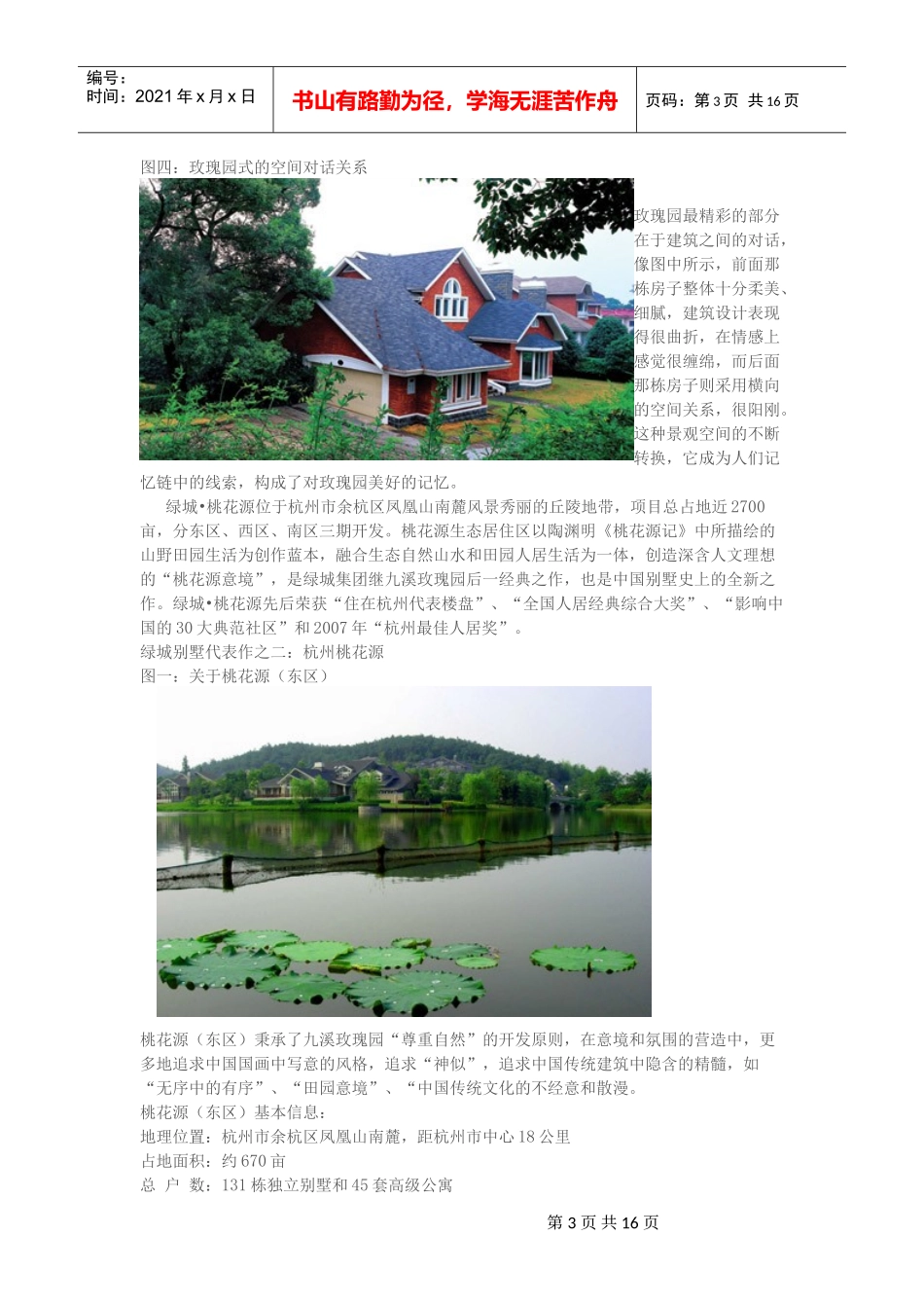 某地产集团别墅产品开发设计策略_20页_第3页