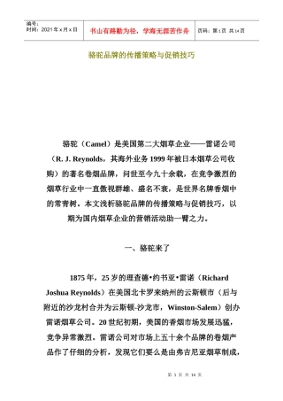 某品牌的传播策略及促销技巧