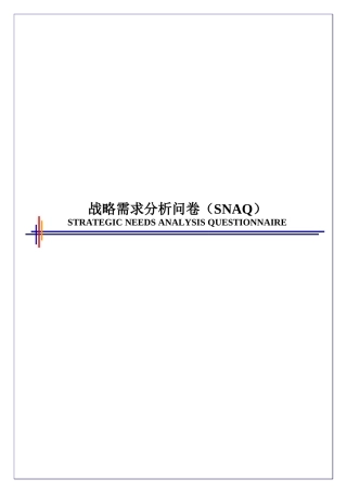 某咨询—战略需求分析问卷