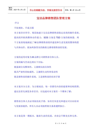 某品牌销售团队管理方案