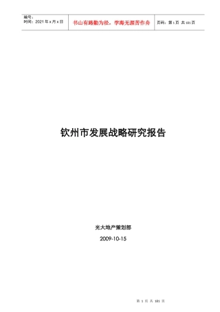 某地产针对钦州市发展战略研究报告