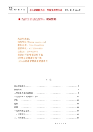 某国际广场白骨精招商策划方案
