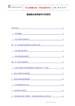 某商贸城可行性研究报告