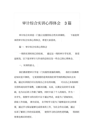 审计综合实训心得体会3篇