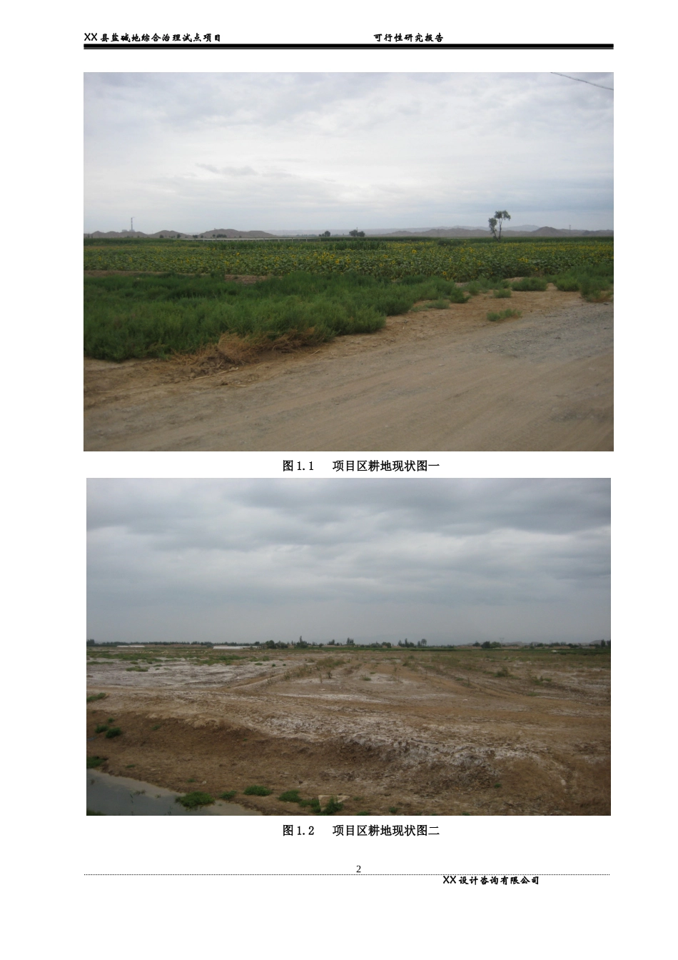 某县盐碱地综合治理试点项目可行性研究报告_第2页