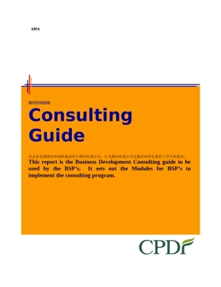 某咨询管理咨询工具方法ChinaProject实用手册