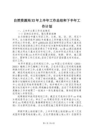 自然资源局上半年工作总结和下半年工作计划