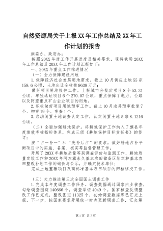 自然资源局关于上报工作总结及工作计划的报告