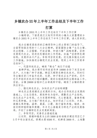 乡镇农办上半年工作总结及下半年工作打算