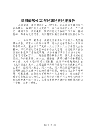 组织部部长述职述责述廉报告