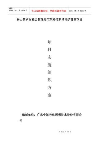 某市政路灯新增维护管养项目实施组织方案