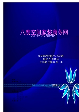 某家装商务网商务策划书