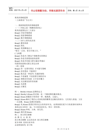 某广告的策略蓝图分析