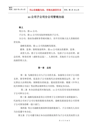 某子公司分公司管理制度概述