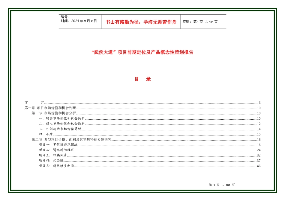 某大道项目前期定位及产品概念性策划报告_第1页