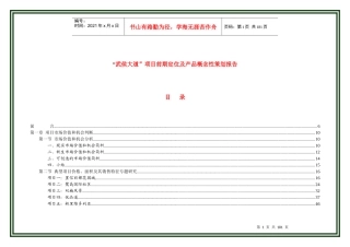 某大道项目前期定位及产品概念性策划报告