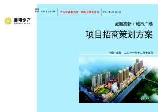 某广场项目招商策划方案