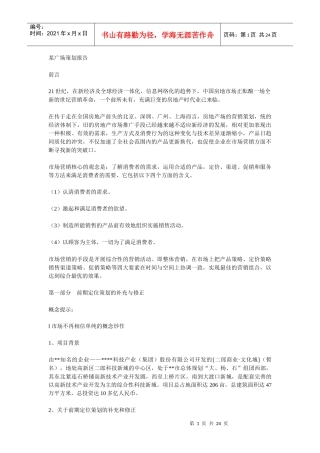 某广场策划报告