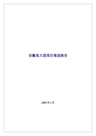 某大型混合项目策划报告书