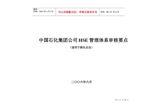 某大型石化公司HSE审核要点表
